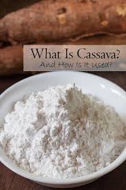 The picture to the right shows the dried product. What Is Cassava And How Is It Used Curious Cuisiniere