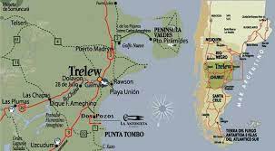 Punta tombo en chubut, argentina, turismo, trelew, rawson, pinguinera, area natural protegida, costa atlantica, colonia de pinguinos magallanicos, . Punta Tombo