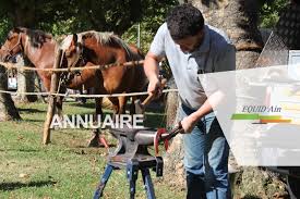 Toutes les sociétés de cette voie sont référencées sur l'annuaire hoodspot ! Annuaire Sante Animale Et Soins Equid Ain