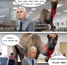 D trump memes, where is donald trump memes, the donald trump memes. Trump Day Camel Memes