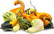 Types Of Gourds With Pictures
