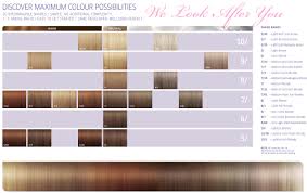 Wella Blonde Hair Colour Chart Best Picture Of Chart