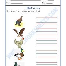 Worksheet Of Hindi Worksheet Name Of Birds In Hindi 02 Hindi Practice Sheet Hindi Language Hindi Worksheets Language Worksheets Worksheets
