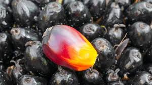 How to use lavender oil for hair care jojoba & lavender for hair growth. How Red Palm Oil Can Change Your Hair Growth Game Naturallycurly Com