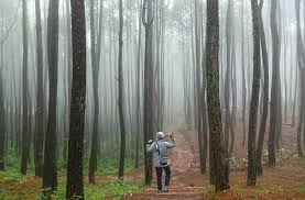 We did not find results for: 60 Tempat Wisata Di Bantul Terbaru Terhits 2021 Yanacircle Com