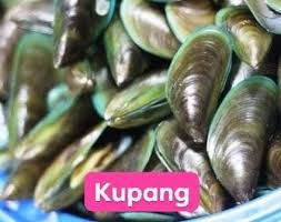 Siput babi atau nama sedapnya garden snail memang menjadi masalah kepada pekebun macam kita. Arif Afnan On Twitter Sedut Sekor Siput Babi 5 Ekor Siput Sedut Konfem Kenyang