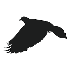 Flying Pigeon Silhouette Ad Sponsored Paid Silhouette Pigeon Flying Flying Pigeon Silhouette Pigeon