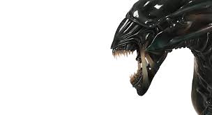 Alien Png Free Download Alien Queen 1280x700 Wallpaper Teahub Io Choose from 3400+ queen graphic resources and download in the form of png, eps, ai or psd. alien png free download alien queen