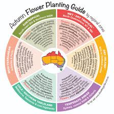 Send flowers sydney is a florist specialised in fresh flowers. Autumn Flowers Planting Guide By Regional Zones About The Garden Magazine