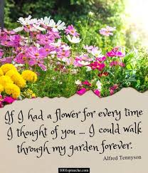 69 Valentinstag Spruche Kurz Herzlich Lustig Fur Sie Ihn 2021