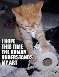 It S A Process Funny Cat Photos Funny Cat Pictures Funny Cats