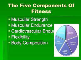 The 5 components that make up total fitness are: The Five Components Of Fitness Ppt Download