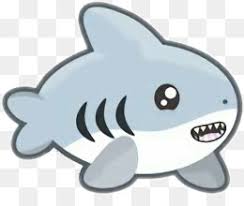 Shark Cute Png Free Download Cartoon Cat Shark Cute See more ideas about cute shark, shark, cute drawings. subpng