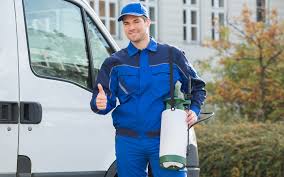 Eastside ants exterminators extermination exterminator | pest control near me in my area. 59 Dubai Muncipality Certified Pest Control Companies In Dubai Mybayut