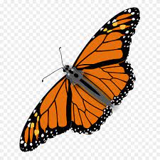 The best gifs are on giphy. Monarch Butterfly Gif Png Clipart 401469 Pinclipart