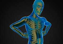 La esclerosis múltiple produce una anomalía inmunológica que se suele manifestar en problemas de coordinación y equilibrio, debilidad muscular. Asi Son Los Primeros Sintomas De La Esclerosis Multiple