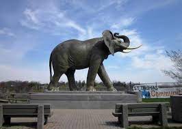 Check spelling or type a new query. Saint Thomas Ontario S Jumbo The Elephant Statue Remembers A Circus Star S Tragic Demise