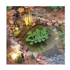 Most domestic koi usually grow about 12 to 15 inches long. Large Backyard Pond Kit 3000 Gallon Savio Pond Package Pp3000