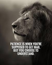 Pin On Inspirational Motivational Quotes