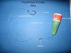 Popping Cork Tactics - Florida Sportsman