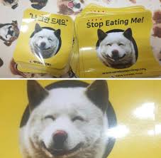 Is there any one who need any help about korean related? Stop Eating Me Stickers English Save Korean Dogs Facebook