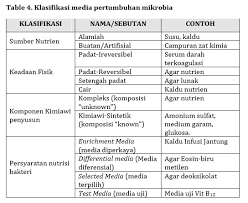 Bakteri termofilik merupakan bakteri yang mampu bertahan hidup pada suhu tinggi di mana salah satu habitatnya adalah sumber air panas. Membuat Media Untuk Pertumbuhan Dan Isolasi Mikroorganisme Buku Sekolah