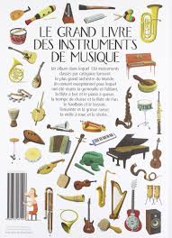 Le Grand Livre Des Instruments De Musique Documentaire French Edition Pronto 9782732471013 Amazon Com Books
