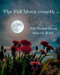 Maybe you would like to learn more about one of these? Full Flower Moon And The Moon Sees All