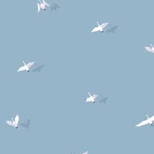 Animated Birds Flying In The Sky Gif Https Encrypted Tbn0 Gstatic Com Images Q Tbn 3aand9gcqeqquvwxbrsurbwkgczgiozroachrngyve9q Usqp Cau