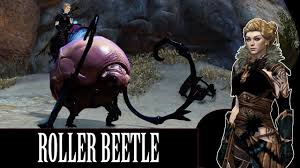 Guild wars 2 armor gallery. Guild Wars 2 Roller Beetle Showcase Youtube