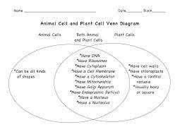 Plant Vs Animal Cells Venn Diagram Plant And Animal Cells Animal Cell Plant Cell