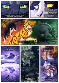 Warrior Cats Books That Will Make You Cry | Warrior Cats