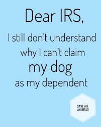 Pin By Firelillycreations On Words That Fit Dont Understand Words Fur Babies