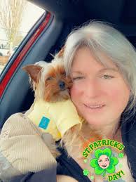 Yorkie puppies wish everyone a happy St. Patrick's Day