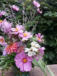 Week Twenty One Coral Zinnia Two Varieties Of Cosmos Japanese Anemone Russian Sage Cherry Tomatoes Sage Two Varietie Grape Vines Lavender Leaves Zinnias