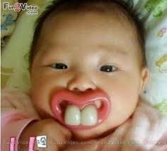 Image result for funny pictures