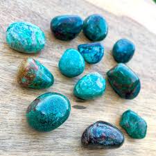 Image result for Chrysochloa