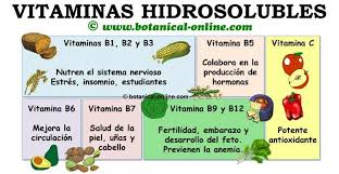 Resultado de imagen para las vitaminas