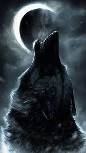 The great collection of wolf wallpapers hd for desktop, laptop and mobiles. Epic Wolf Wallpapers Full Hd Hupages Download Iphone Wallpapers Wolf Wallpaper Wolf Artwork Wolf Drawing