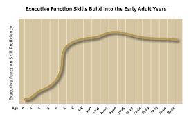 inbrief executive function