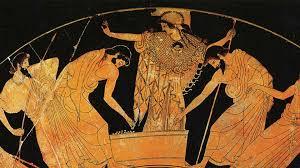 Image result for Behniaceae