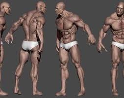 3d Model Human Male Character 3d Model Human Male Model