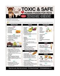 Premium Toxic And Safe Foods Large Format 8 X10 5 Etsy In 2021 Toxic Foods For Dogs Dog Safe Food Foods Dogs Can Eat