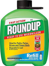 How to choose the best weed killer for flower beds? Roundup Ready To Use Weed Killer Diy At B Q