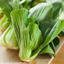 We did not find results for: Cavolo Cinese Pak Choi 500 Semi Brassica Rapa Subsp Chinensis Garden Seeds Market Spedizione Gratuita