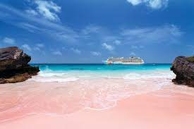 Your ship docks at the royal naval dockyard. Bermuda S Best Bet Pink Sand Beaches Blog De Voyage Ncl
