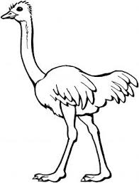 Ostrich Coloring Page Super Coloring Animal Coloring Pages Bird Coloring Pages African Tree