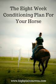Follow This Eight Week Plan To Get Your Horse In His Best Shape For Pleasure Riding Or Showing This Spring And Summer Ho Horse Exercises Horse Lessons Horses