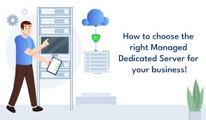 How to Choose the Right Managed Dedicated Server for Your Business! -  WIPLON Blog