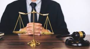 ¿Hay tigres vegetarianos? La reforma de la reforma judicial